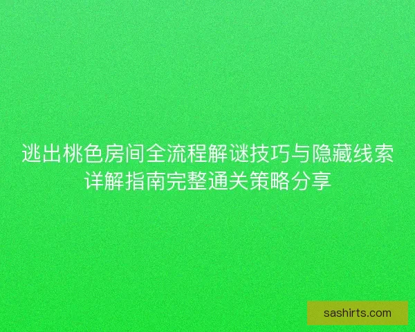 逃出桃色房间全流程解谜技巧与隐藏线索详解指南完整通关策略分享